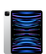 iPad Pro 11-in. (4th generation)